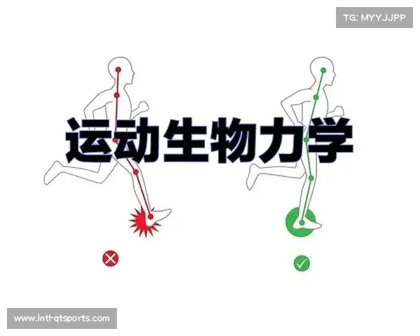空手道科学化体重分级体系构建与优化以公平竞争与运动安全为核心 空手道科学化体重分级体系构建与优化以公平竞争与运动安全为核心